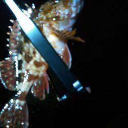 赤い彗星のシャー　